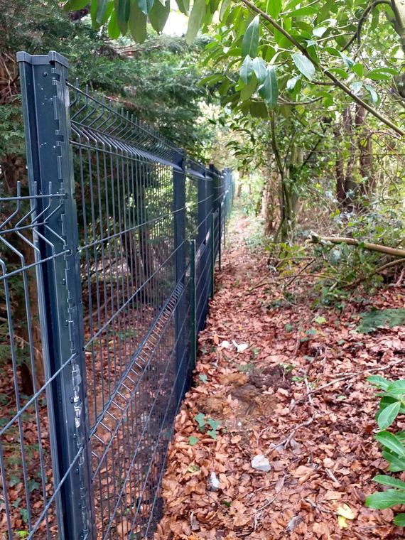 Clôture rigide grise posée en limite de terrain, sous les arbres