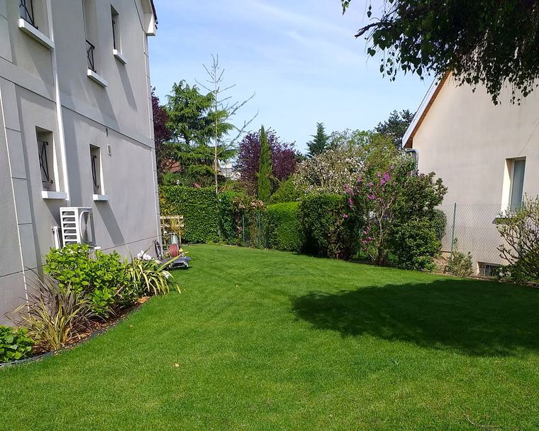 Pelouse dense et verte le long d’une maison, bordée de massifs