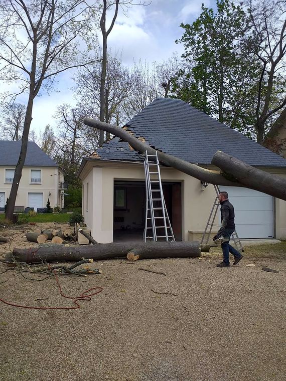 Arbre tombé sur le toit d’un garage, en cours de découpe