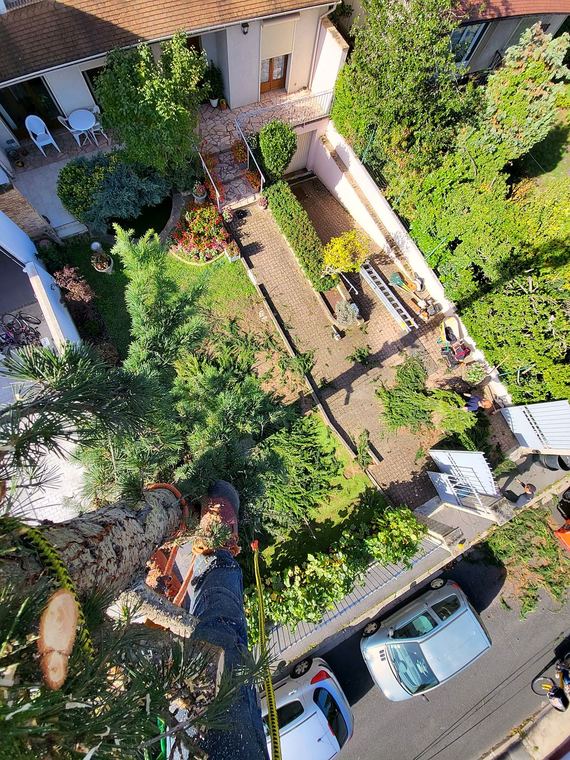 Vue plongeante sur un jardin depuis le sommet d’un arbre, les pieds de l’élagueur au premier plan